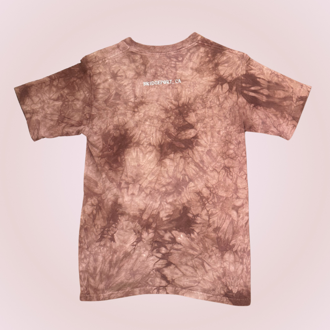 Bridgeport, CA Horse T-Shirt
