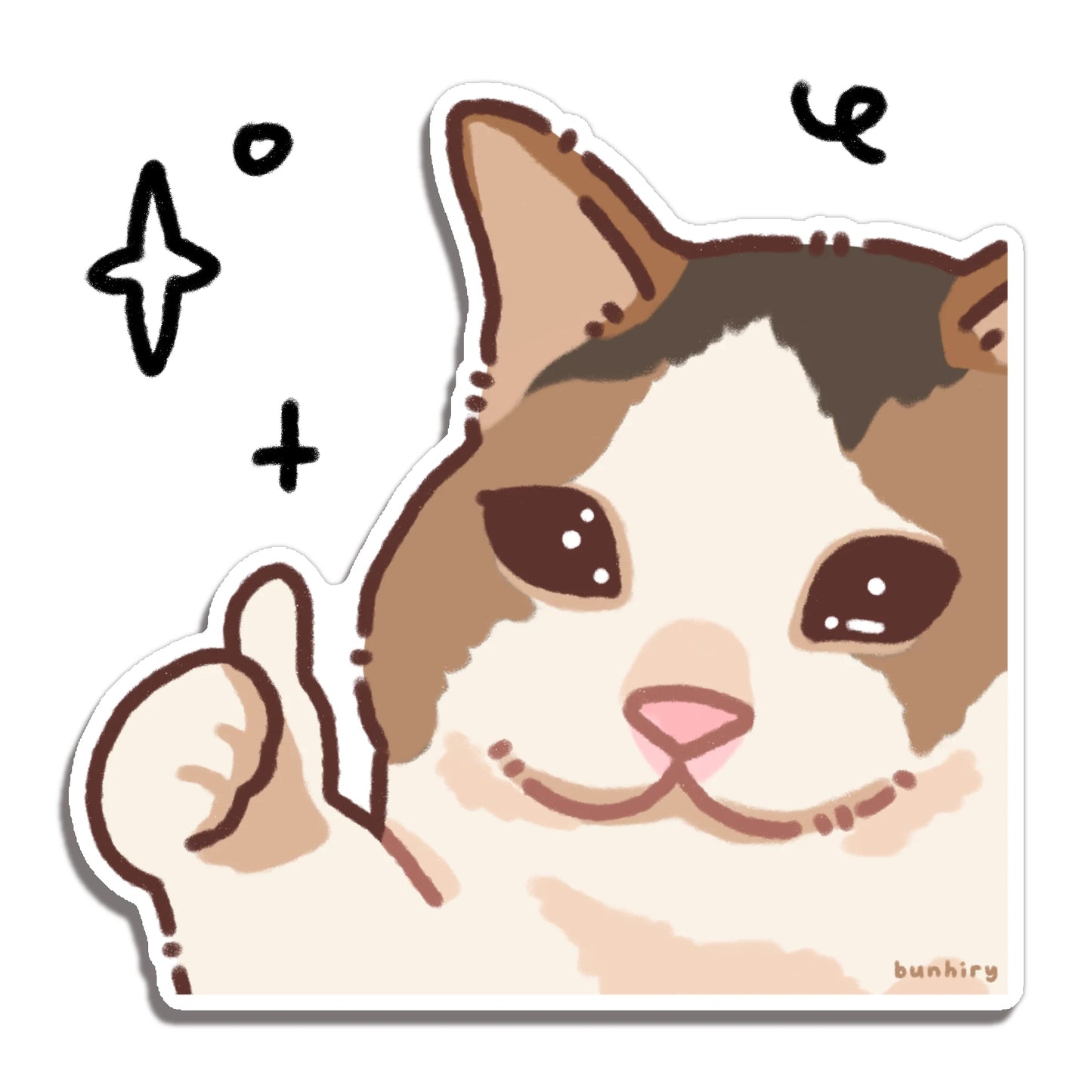 Bunhiry Thumbs Up Cat Sticker