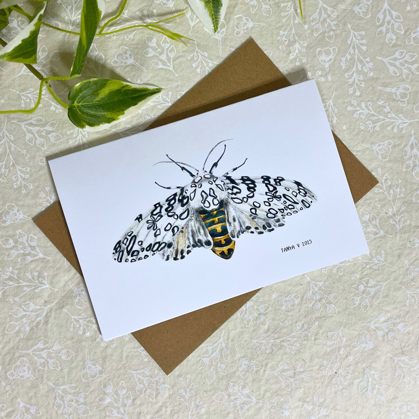 Giant Leopard Moth 4x6 Greeting Card