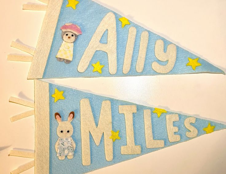 8/25 Felt Pennant Workshop