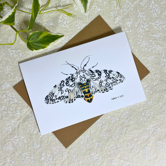 Giant Leopard Moth 4x6 Greeting Card