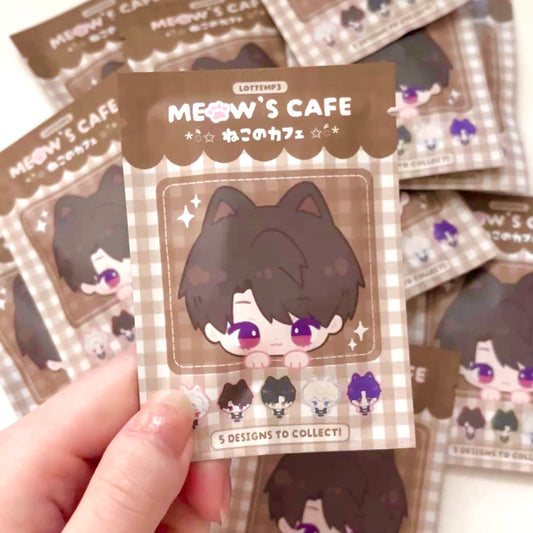 Lads Kitties Blind Bag