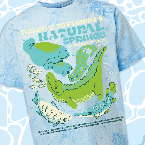 Welcome to Florida Natural Spring T-Shirt