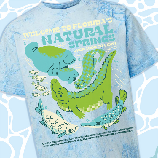 Welcome to Florida Natural Spring T-Shirt