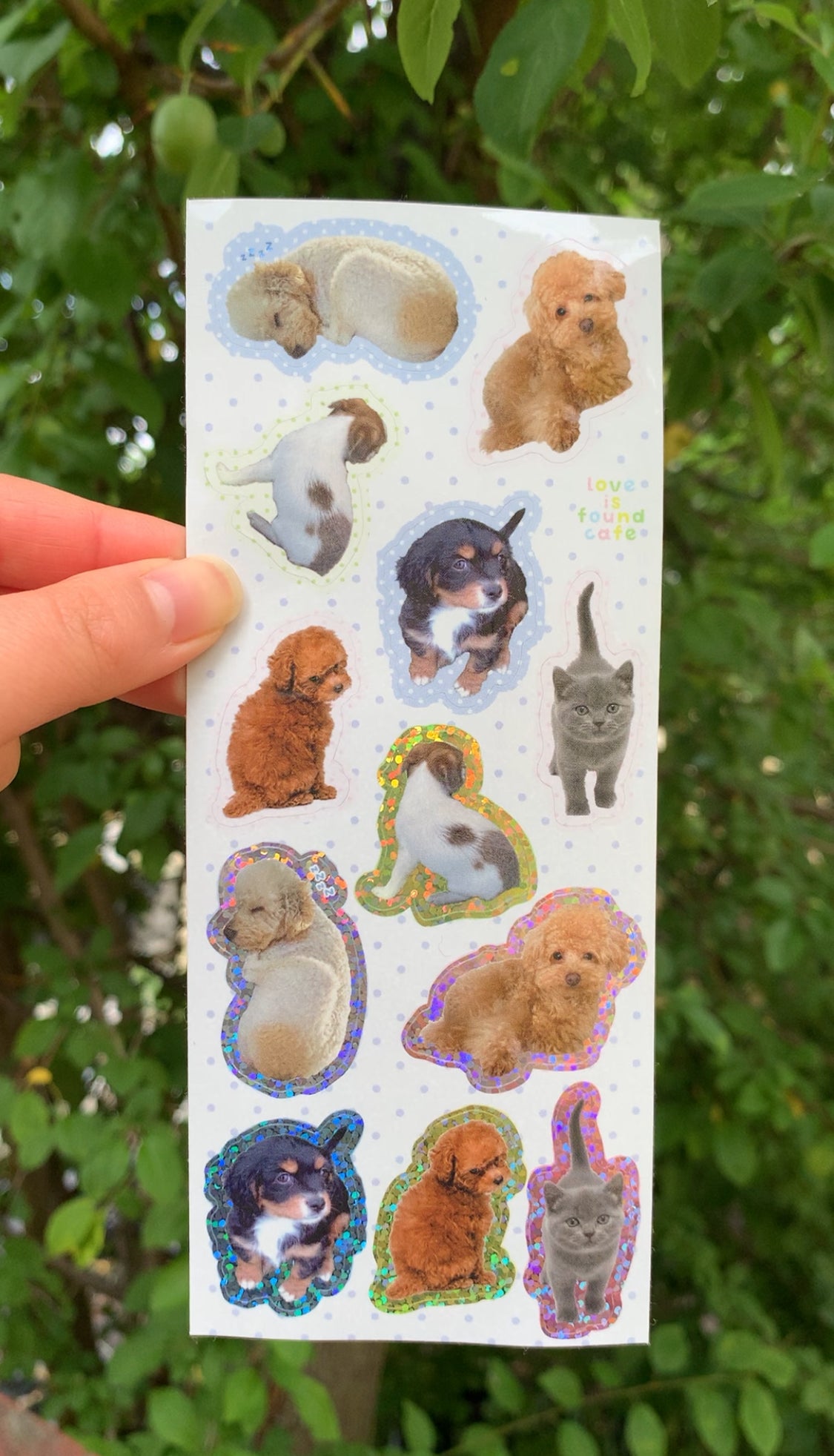 Fluffy Pets Sticker Sheet