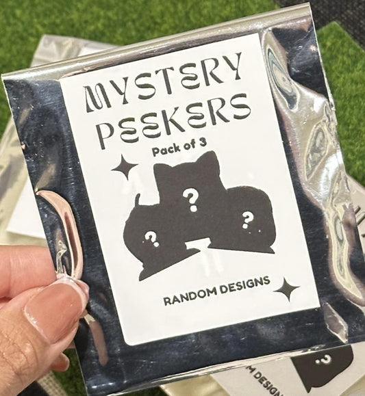 SMALL sonny angel mystery bag